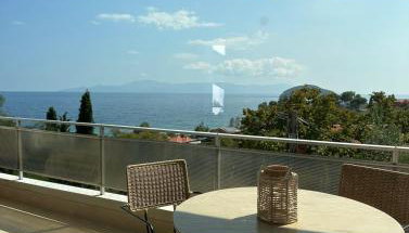 Olivia -Ελιά - Foto 4