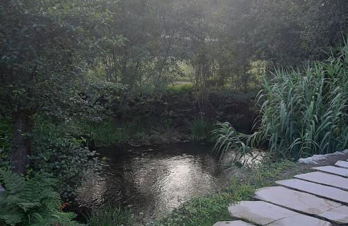 Moinho das Cavadas - Foto 43