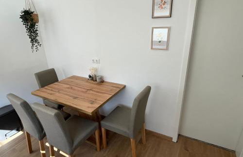 Rheintraum Soutterain Wohnung mit Sauna - Foto 4