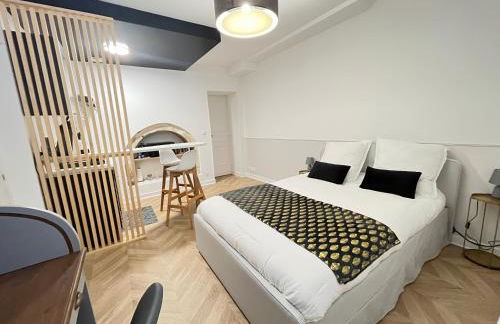 Le Studio Haslay SERAUCOURT en plein cœur de ville de BOURGES - Charme de l ancien et confort contemporain - Foto 1