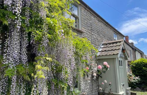 Wayside Cottage - Cosy Cottage in Somerset - Foto 4