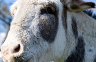 Archway 2 Cosy, En-suite Retreat - Foto 12