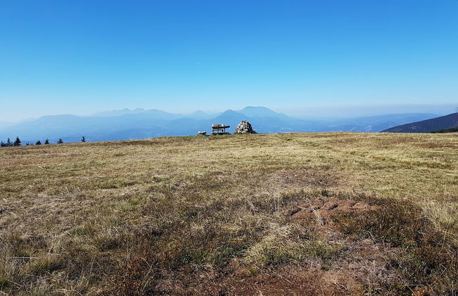 Apartmaji Koželj - Foto 33