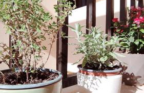 Dedalos n3 Sea View apartment-30 metres from the beach - Foto 31