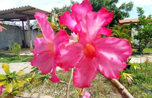 Casa INTI de Maracajaú - Foto 46