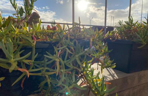 CASA DA PITANGA - Foto 17