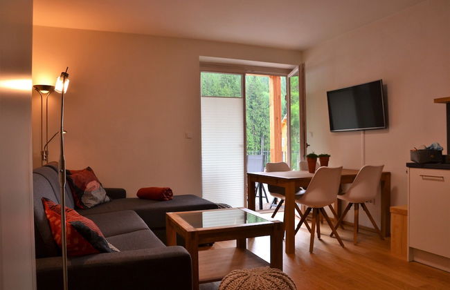 Residence Kovárna - Foto 11