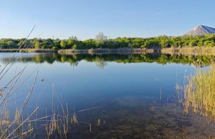 Ferienwohnungen in Röblingen - Foto 4