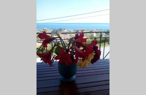 villa roses-mourteri - Foto 30