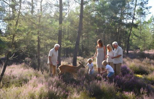 Cottage Mackinley, séjour spacieux et chaleureux, salon de jeux, grande salle à manger, 15 pers, Centre Historique, gare TER - Foto 57