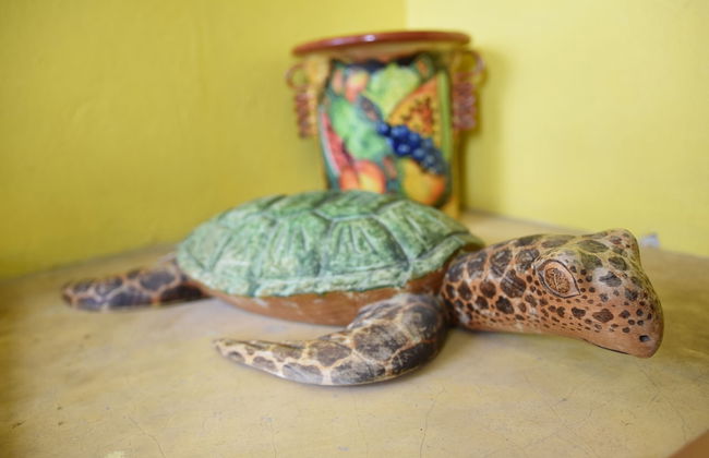 Room in B&B - Cancun Guest House 1 - Foto 6