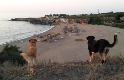 Naiada Stomio-A apartment - Foto 38