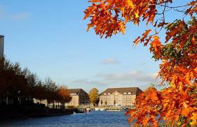 COAST HOUSE Dünenloft - Foto 23