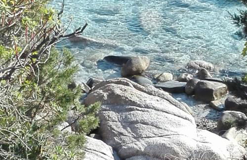 Villa Antonella - Photo 75