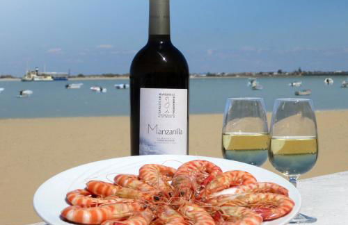 Aires de Doñana. Piscina y Playa. Parking gratis. - Foto 47