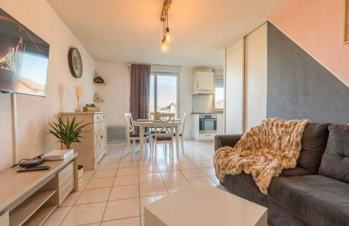 Splendid et cosy T2 terrasse, Airbus et Aéroport - Foto 19