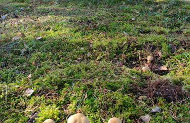 Apartament Baranek Nad Jeziorem - Foto 12