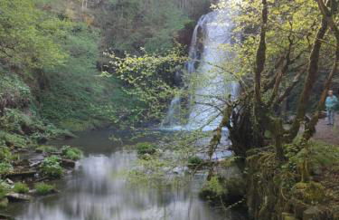 Ollar do Cido - Foto 46