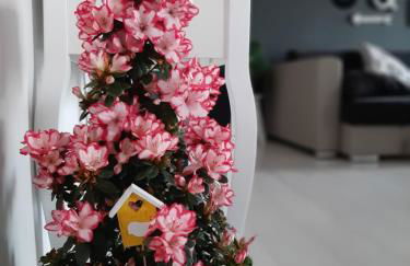 Villa Paradiso - Foto 2