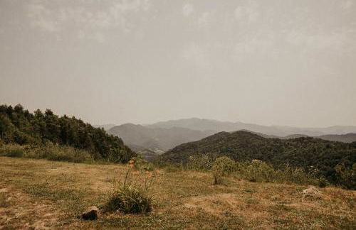 Subirana Rural - Foto 11