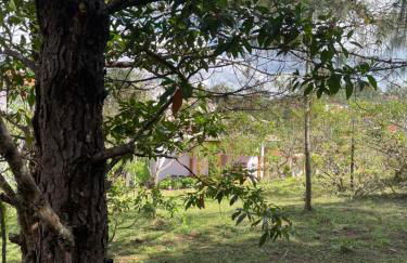 Vila Violeta - Photo 16