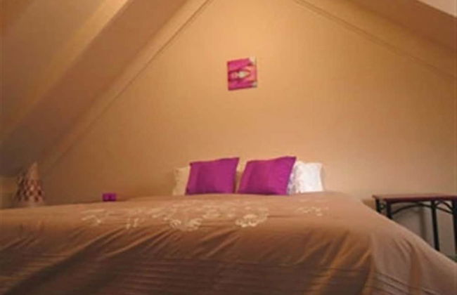 Barrington Wilderness Cedar Lodge Accommodation - Foto 2