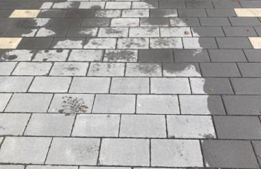 LITELIVING Familiensuite BoHo - Foto 19