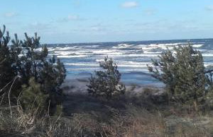 Achterwasser Blick - Foto 32