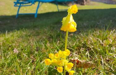 Le chalet de Rothenbuhl - Photo 13