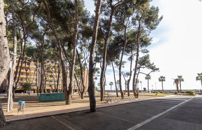 Els Pins Atico - Foto 50