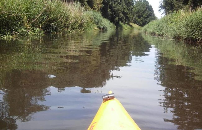Detached Combined Bungalow with Garden near Veluwe - Photo 41