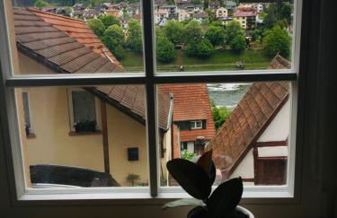 Neckarblick,Natur, Altstadt - Photo 17