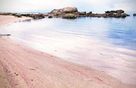 Villa Manuela sul mare - Foto 40