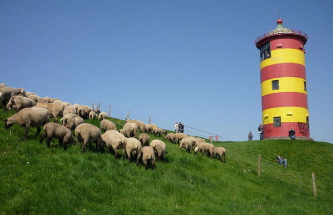 See.eck Timmel Modern Retreat - Photo 6