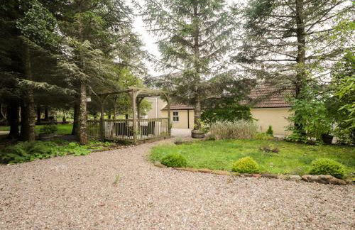 Gingerbread House - Foto 23