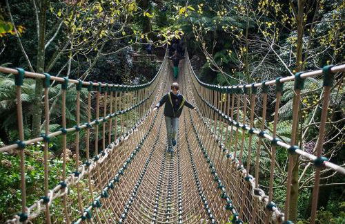 Two Bedroomed Holiday Cottage with Sea Views - Foto 28