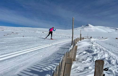 Les Marmottes de Murol - Foto 40