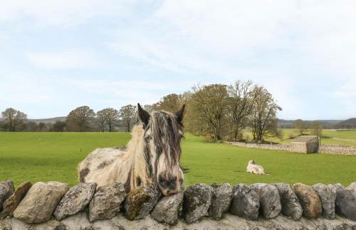 Sandy Cottage - Foto 26