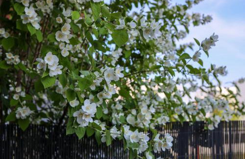 Apartament Komandorski przy Aquaparku - Foto 19