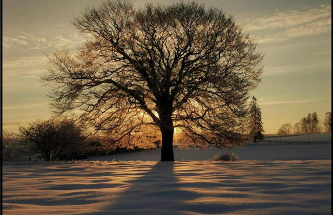 Geel Chalet in Netevallei - Photo 43