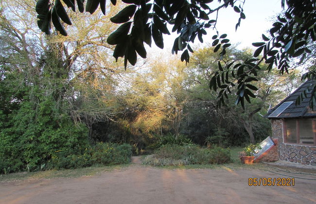3 bed Bush-tent Under 3 Trees, for Couple Plus Chaperone Free Lionhyena Sounds - Foto 24