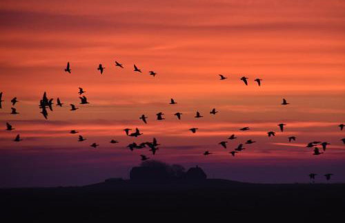 Fewo Nordseeblick - Foto 36