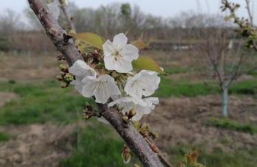 La Casa de Abajo - Photo 27