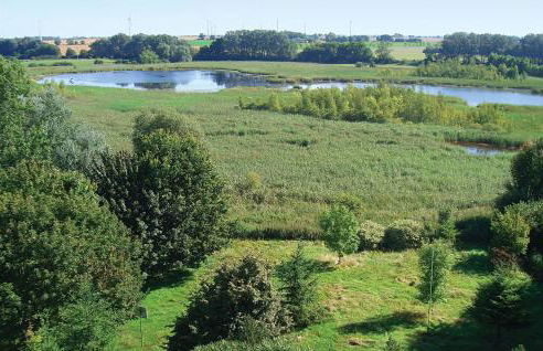 Herrenhaus Lübbenow - Foto 13