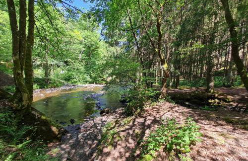 Ferienhaus Dröfter Blick - Foto 53