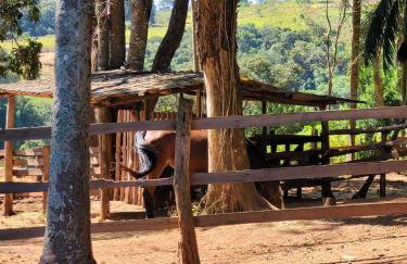 Exclusivo Haras Marilu! - Foto 48