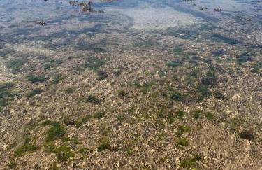 Casa Turquesa Pé na areia Piscina infinita Pet friendly Condomínio fechado - Foto 16
