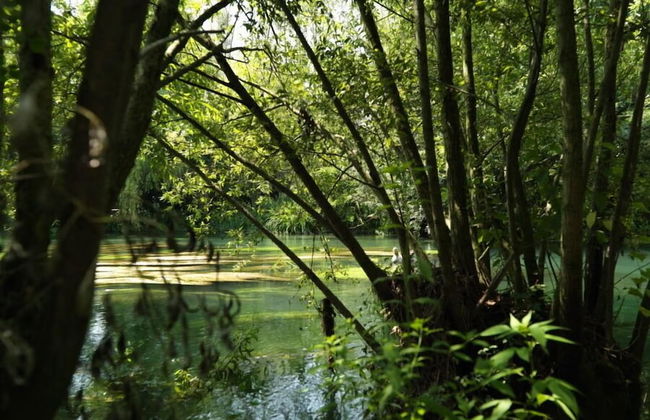 Agriturismo Cà dei Molini - Photo 44