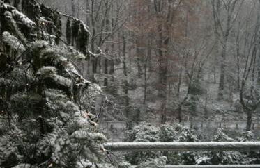 Stadt- Naturnah, Traumblick und Balkon - Foto 28