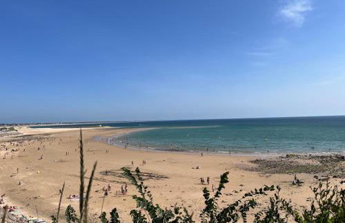 Les Sternes - Foto 42